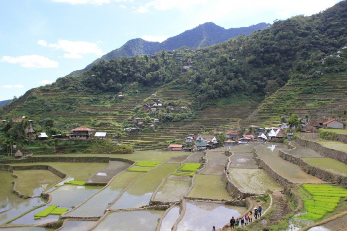 [해외 파트너 소식] ‘시트모(SITMO: Save the Ifugao Movement)’