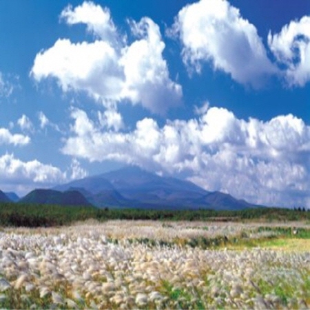 [제주도] 쉼(休), 힐링, 만남, 제주 공정여행